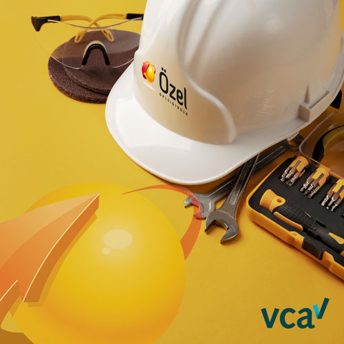 VCA Basis Litouws - Cursus + Examen